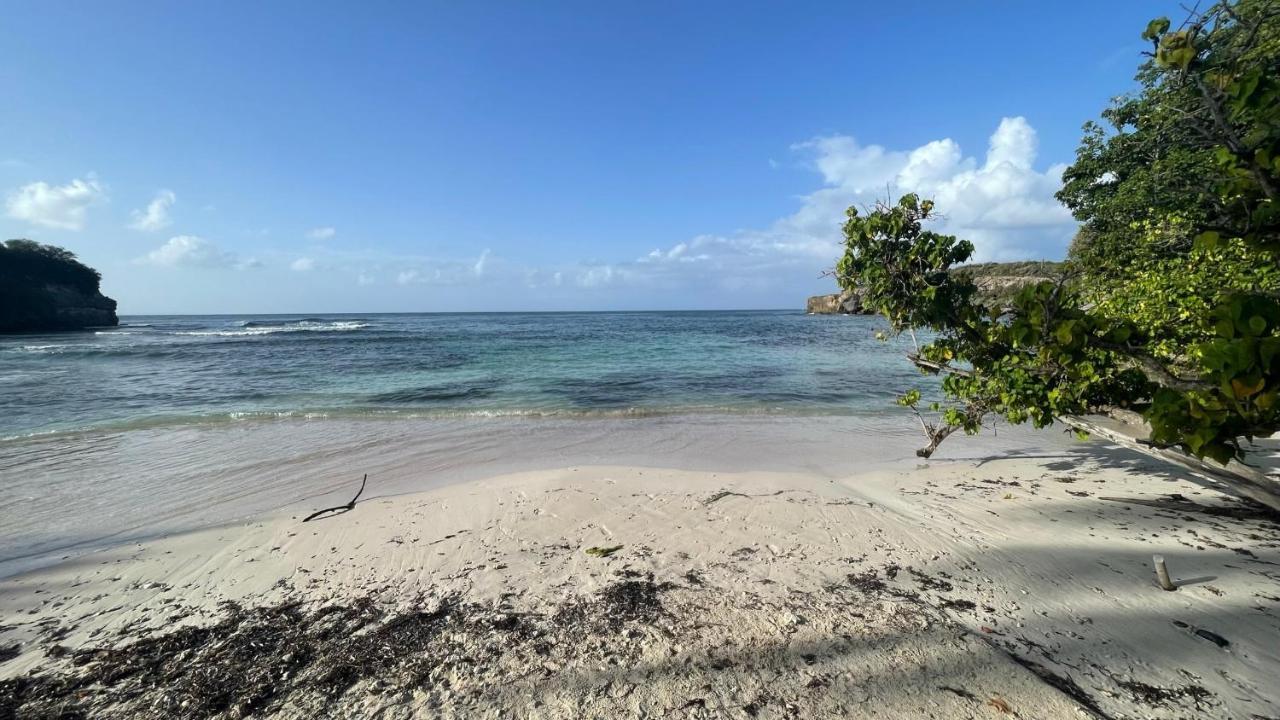 Appartement Cosy - Entre Nature Et Plages De Reve Le Gosier (Grande-Terre) Exterior foto